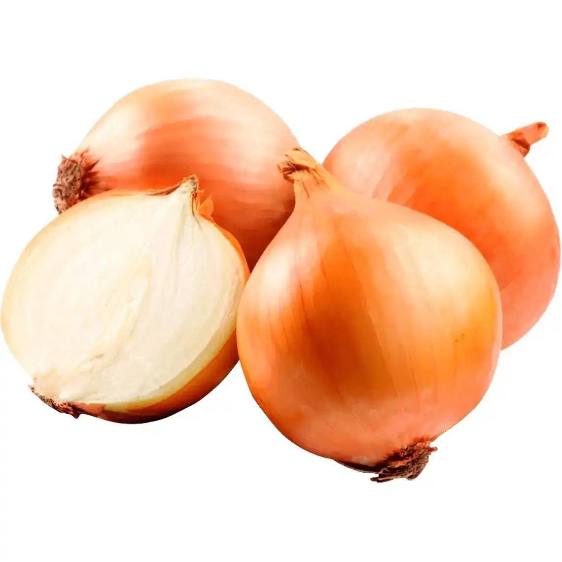 Цибуля ріпчаста ваг